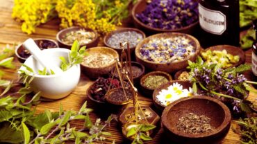 potencjał z roślin